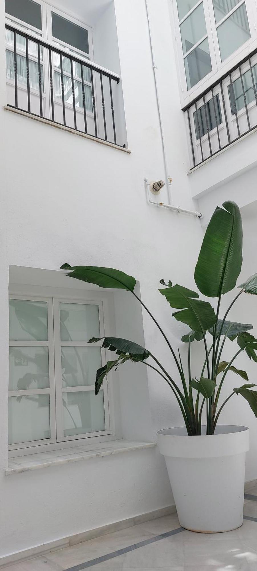 El 2 De Flamenco 1ºa Apartment Cadiz Luaran gambar